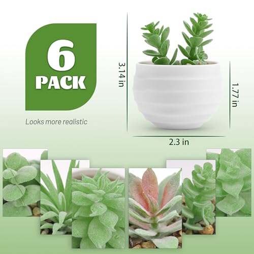 Der Rose Set of 6 Succulents Plants Artificial in Pots Small Fake Plants for Bedroom Aesthetic Living Room Shelf Bathroom Decor Office Desk Accessories - Image 4