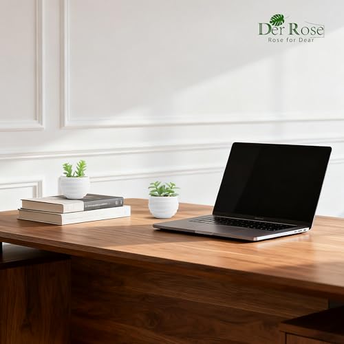 Der Rose Set of 6 Succulents Plants Artificial in Pots Small Fake Plants for Bedroom Aesthetic Living Room Shelf Bathroom Decor Office Desk Accessories - Image 7