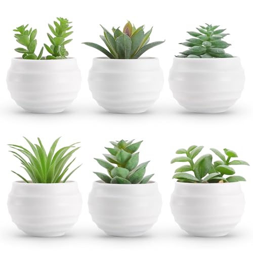 Der Rose Set of 6 Succulents Plants Artificial in Pots Small Fake Plants for Bedroom Aesthetic Living Room Shelf Bathroom Decor Office Desk Accessories - Image 2
