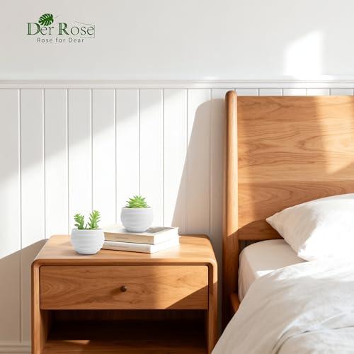 Der Rose Set of 6 Succulents Plants Artificial in Pots Small Fake Plants for Bedroom Aesthetic Living Room Shelf Bathroom Decor Office Desk Accessories - Image 6