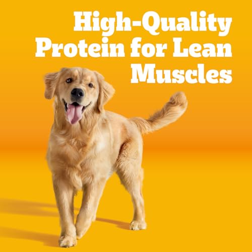 Pedigree Complete Nutrition Adult Dry Dog Food, Roasted Chicken & Vegetable Flavor, 18 lb. Bag - Image 3