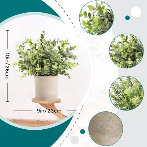 Der Rose 3 Pack Mini Potted Fake Plants Artificial Plastic Eucalyptus Plants Topiaries for Home Office Desk Farmhouse Room Bathroom Decor - Image 4