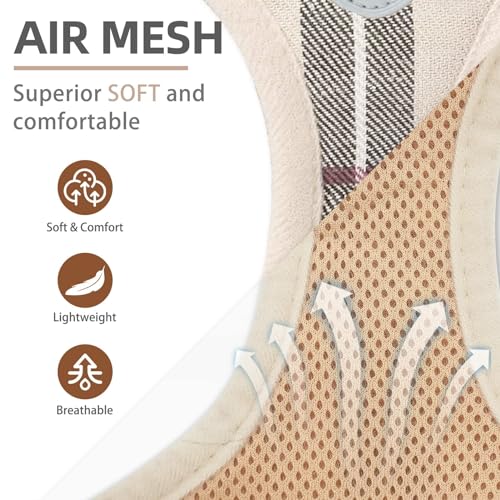 PUPTECK Adjustable Dog Harness Collar and Leash Set Step in No Pull Pet Harness for Small Medium Dogs Puppy and Cats Outdoor Walking Running, Soft Mesh Padded Reflective Vest Harnesses, Beige S - Image 3