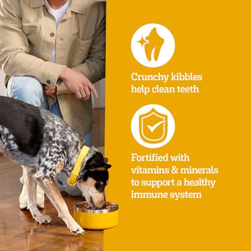 Pedigree Complete Nutrition Adult Dry Dog Food, Roasted Chicken & Vegetable Flavor, 18 lb. Bag - Image 7