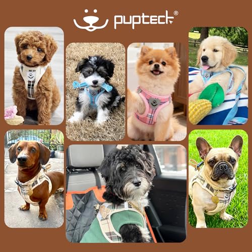 PUPTECK Adjustable Dog Harness Collar and Leash Set Step in No Pull Pet Harness for Small Medium Dogs Puppy and Cats Outdoor Walking Running, Soft Mesh Padded Reflective Vest Harnesses, Beige S - Image 9