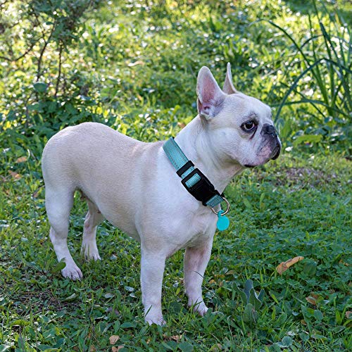 Ladoogo Reflective Dog Collar Padded with Soft Neoprene Breathable Adjustable Nylon Dog Collars for Small Medium Large Dogs (Medium (Pack of 1), Blue Collar+Leash) - Image 5