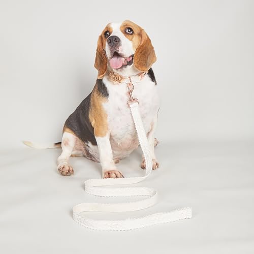 Dog Collar and Leash Set Adjustable Girl Fashion Flowers Dog Collar for Small Dogs Cotton Lace Handmade Personalized Puppy Collars Rose Gold Metal Buckle for Medium Large Dogs (White,S) - Image 6
