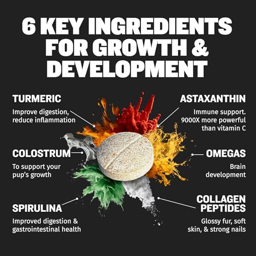 Bully Max Puppy Power Bundle: 24/14 High Protein Lamb Dry Dog Food (15lb), Dehydrated Chicken Wet Food (6lb Dry, Makes 16.5lb Wet Food) & Puppy Vitamins (3 Bottles) for Optimal Growth & Development - Image 9