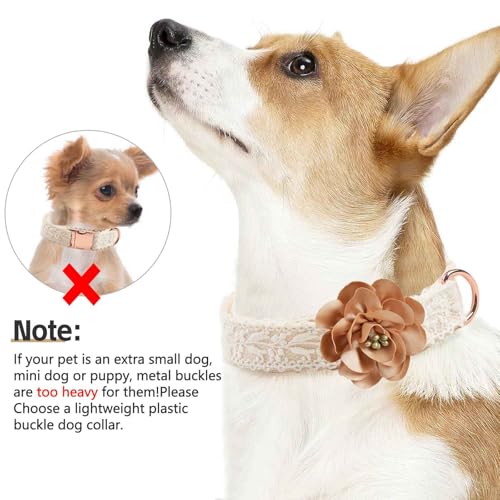 Dog Collar and Leash Set Adjustable Girl Fashion Flowers Dog Collar for Small Dogs Cotton Lace Handmade Personalized Puppy Collars Rose Gold Metal Buckle for Medium Large Dogs (White,S) - Image 5