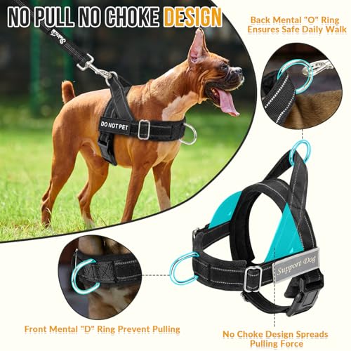 SlowTon No Pull Dog Harness - Heavy Duty Dog Harness and Leash Set for Medium Large Dogs, Reflective Tactical Harness with Soft Padded and Front Clip for Easy Walk and Training (Black M) - Image 3