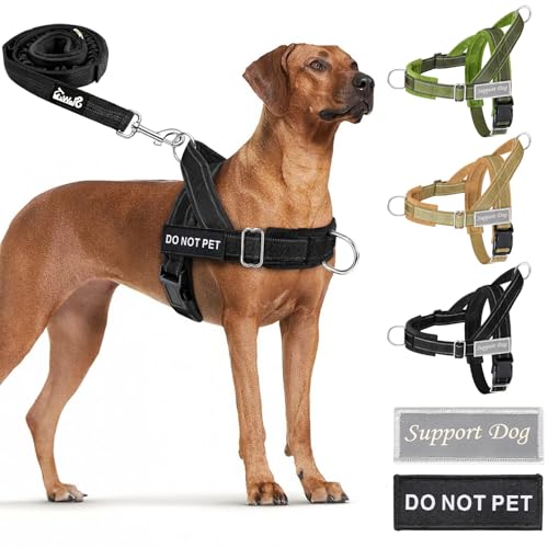 SlowTon No Pull Dog Harness - Heavy Duty Dog Harness and Leash Set for Medium Large Dogs, Reflective Tactical Harness with Soft Padded and Front Clip for Easy Walk and Training (Black M) - Image 2